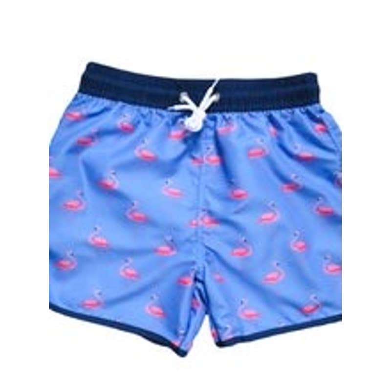 Blueberry Bay boys, flamingo, swim trunks Size 2T
